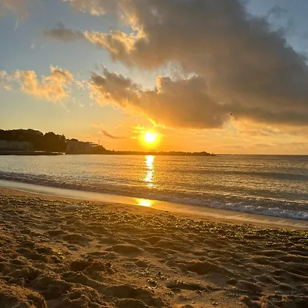 Campingplads каравана синята маймуна плаж градина # Rv Blue Monkey On The