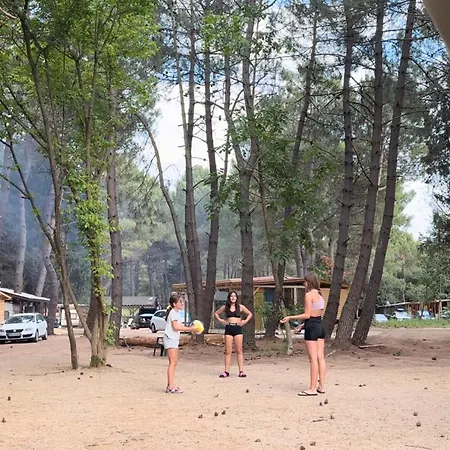 каравана синята маймуна плаж градина # Rv Blue Monkey On The Campingplads