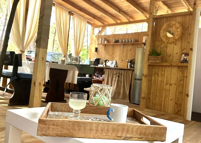 каравана синята маймуна плаж градина # Rv Blue Monkey On The Кемпинг