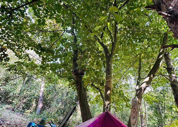 каравана синята маймуна плаж градина # Rv Blue Monkey On The Кемпинг