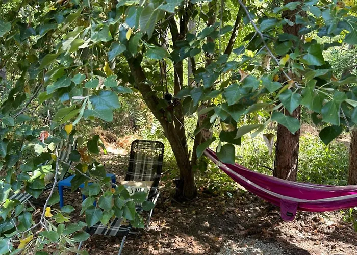 Кемпинг каравана синята маймуна плаж градина # Rv Blue Monkey On The *