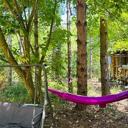 каравана синята маймуна плаж градина # Rv Blue Monkey On The Campsite Chernomorets