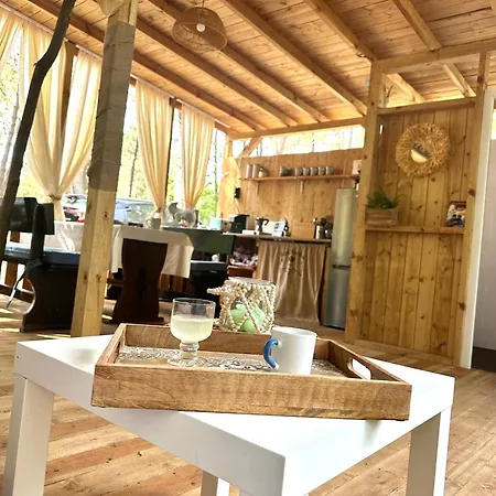 каравана синята маймуна плаж градина # Rv Blue Monkey On The Campingplads