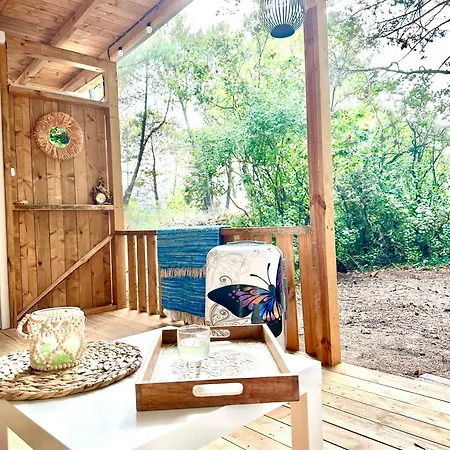 каравана синята маймуна плаж градина Campingplatz Tschernomorez