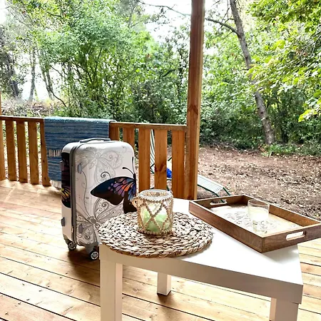 каравана синята маймуна плаж градина # Rv Blue Monkey On The Campsite Chernomorets
