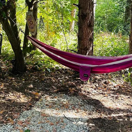 каравана синята маймуна плаж градина # Rv Blue Monkey On The Campsite *