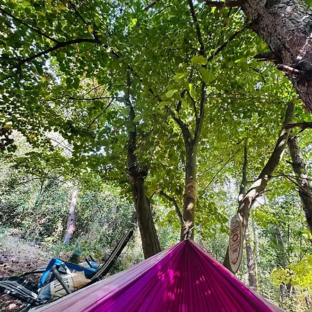 каравана синята маймуна плаж градина # Rv Blue Monkey On The Campsite