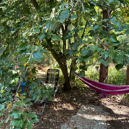 Campsite каравана синята маймуна плаж градина # Rv Blue Monkey On The *