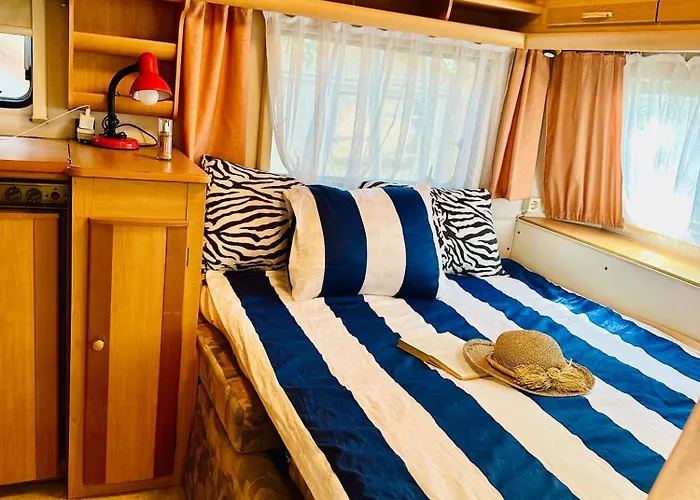 Camping каравана синята маймуна плаж градина # Rv Blue Monkey On The *