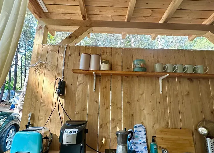 каравана синята маймуна плаж градина # Rv Blue Monkey On The Tchernomorets