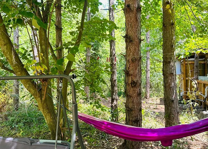 каравана синята маймуна плаж градина # Rv Blue Monkey On The Camping Tchernomorets