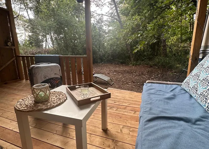 каравана синята маймуна плаж градина # Rv Blue Monkey On The Tchernomorets