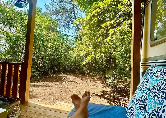 Campingplads каравана синята маймуна плаж градина # Rv Blue Monkey On The *