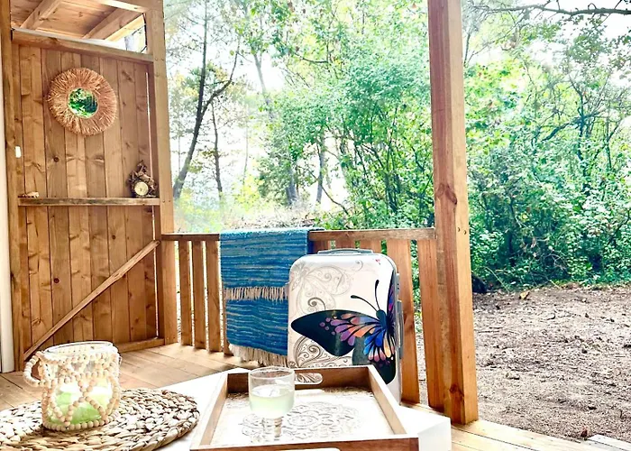 каравана синята маймуна плаж градина # Rv Blue Monkey On The Camping Tchernomorets