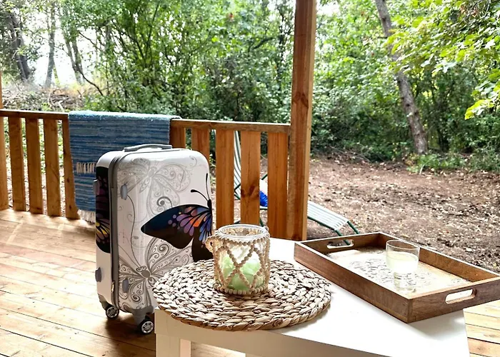 каравана синята маймуна плаж градина # Rv Blue Monkey On The Camping Tchernomorets