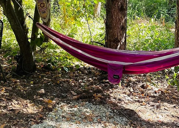 каравана синята маймуна плаж градина # Rv Blue Monkey On The Camping *